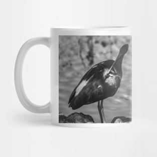 black and white portrait of American white ibis Mug